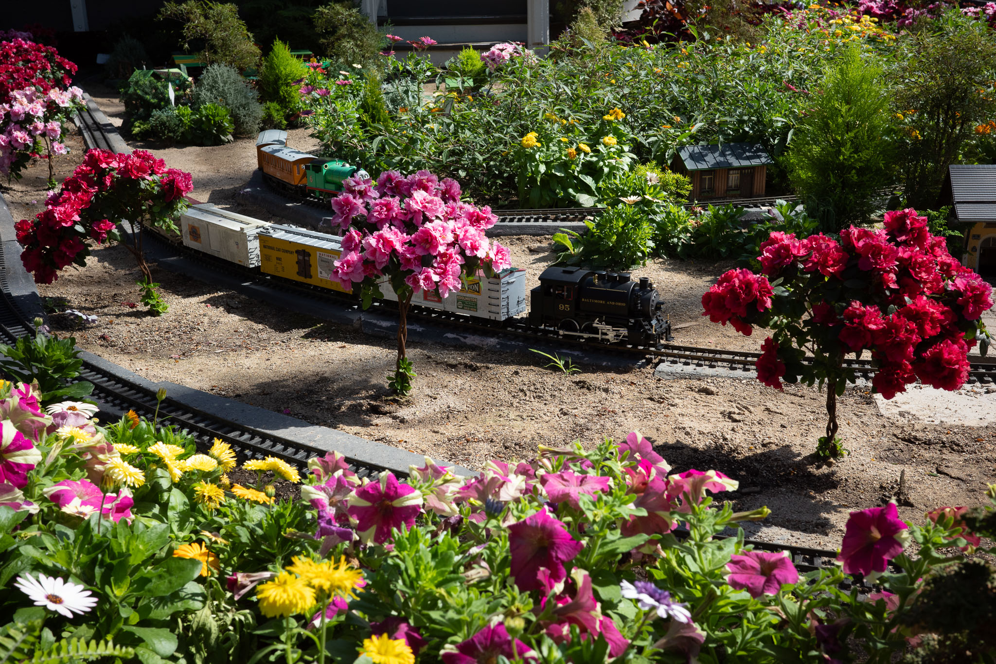 mitchellparkdomes2024 04